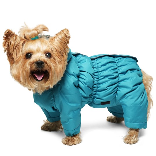 Изображение на странице