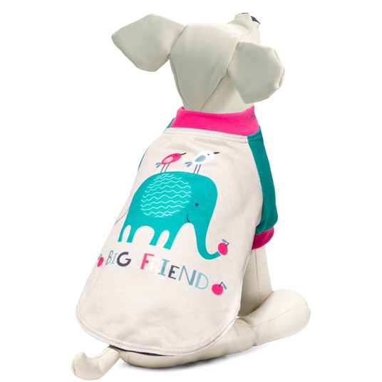 Изображение на странице