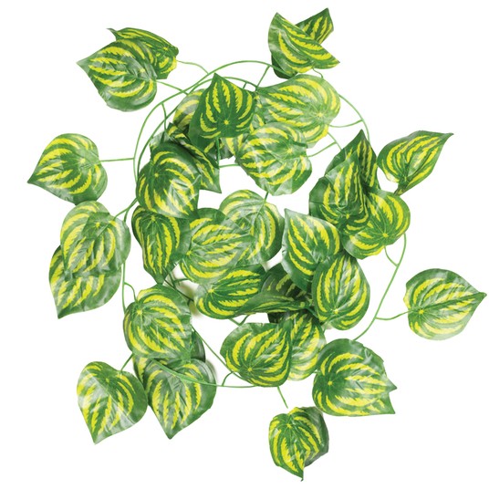 Изображение на странице