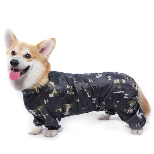 Изображение на странице