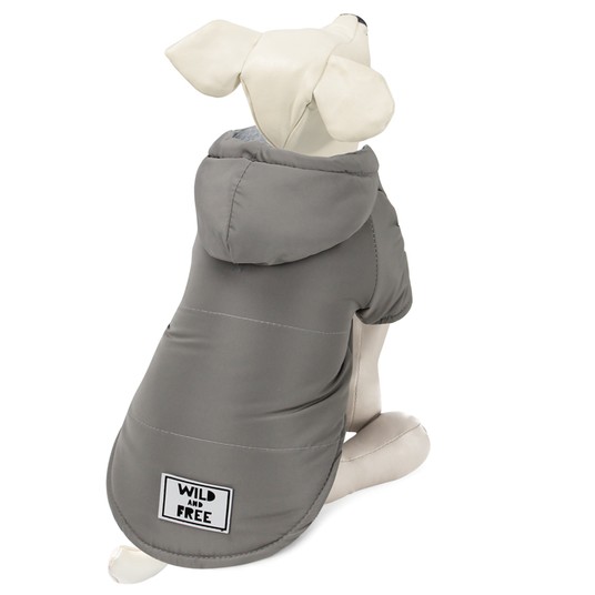 Изображение на странице