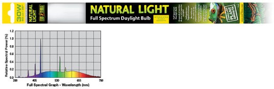 Изображение на странице