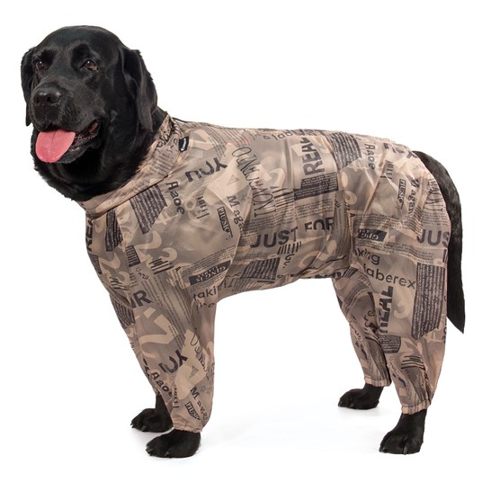 Изображение на странице