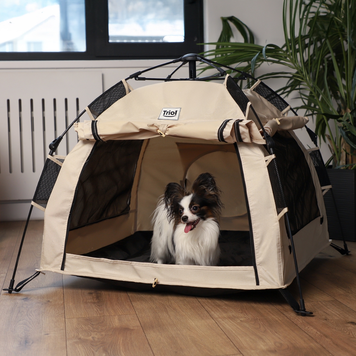 Изображение на странице