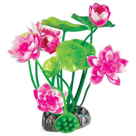 Изображение на странице