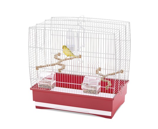 Изображение на странице