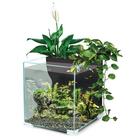 Изображение на странице