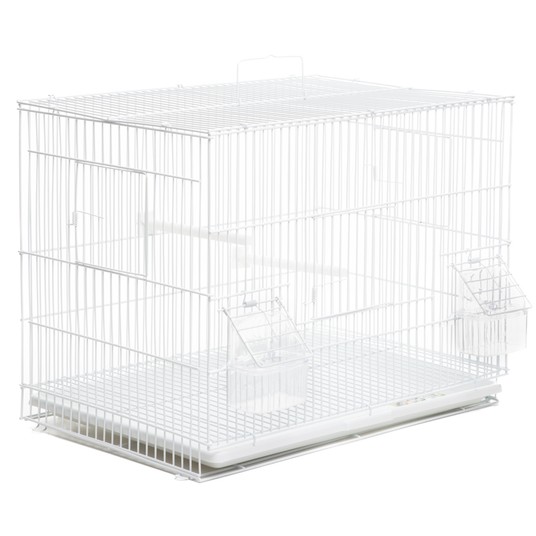 Изображение на странице