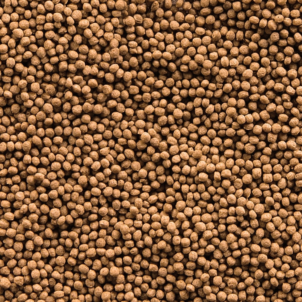 Корм для золотых рыбок, основной в гранулах "Goldy Gran", 100 мл, 30 г 2