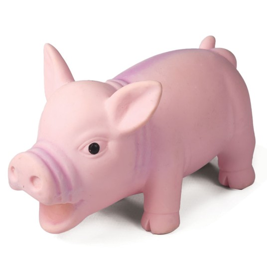 Изображение на странице