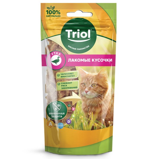 Изображение на странице