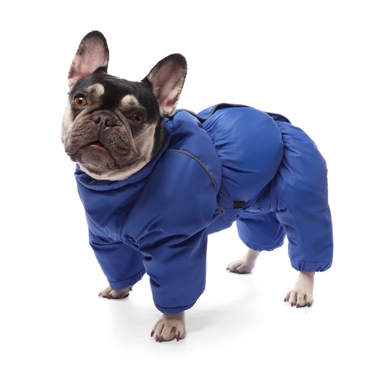 Изображение на странице