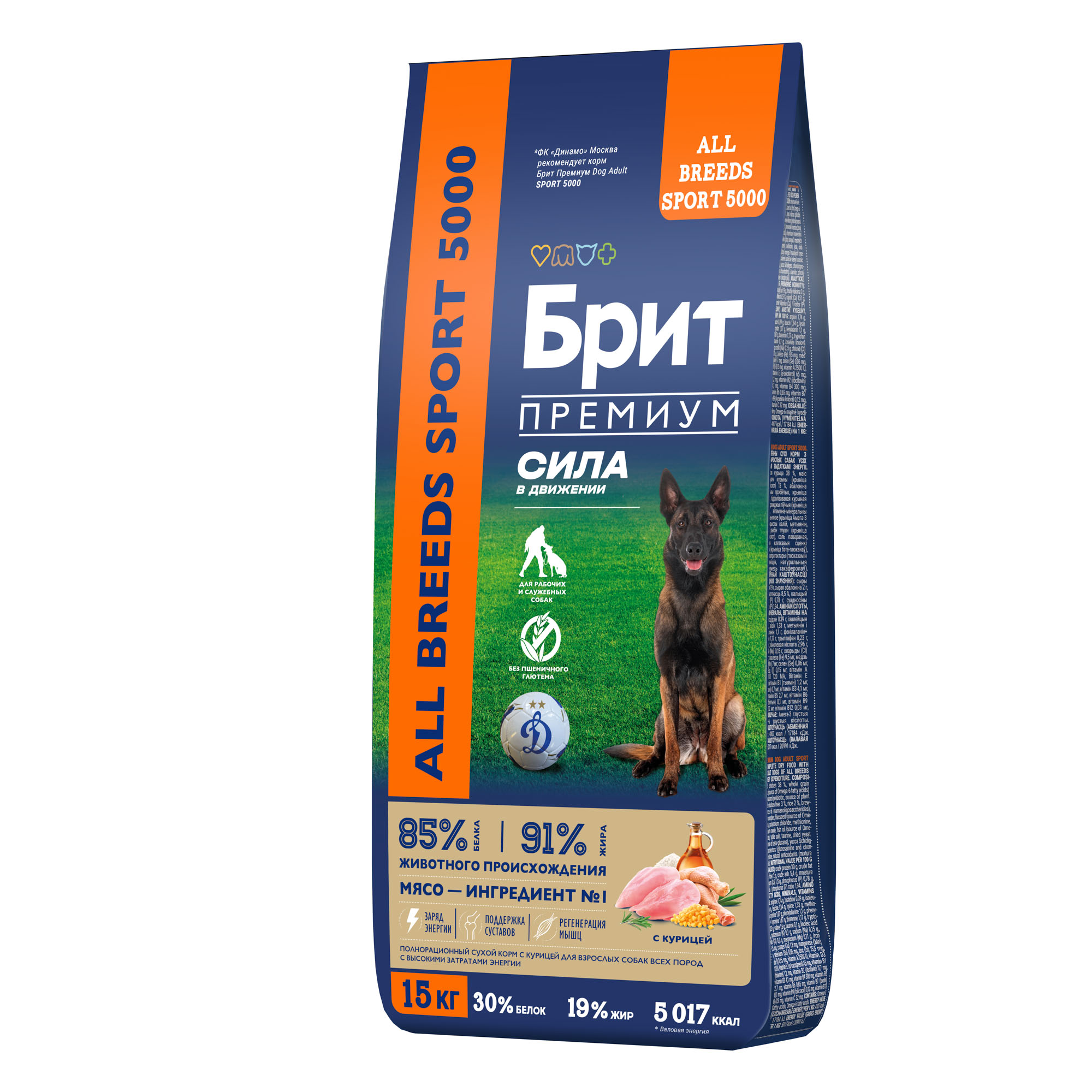 Изображение на странице