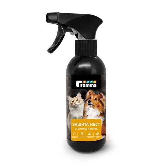 Изображение на странице