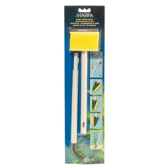 Изображение на странице