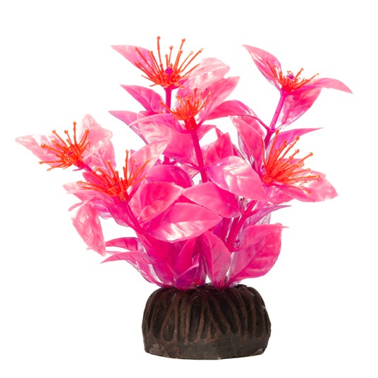 Изображение на странице