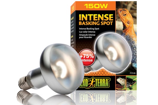 Изображение на странице