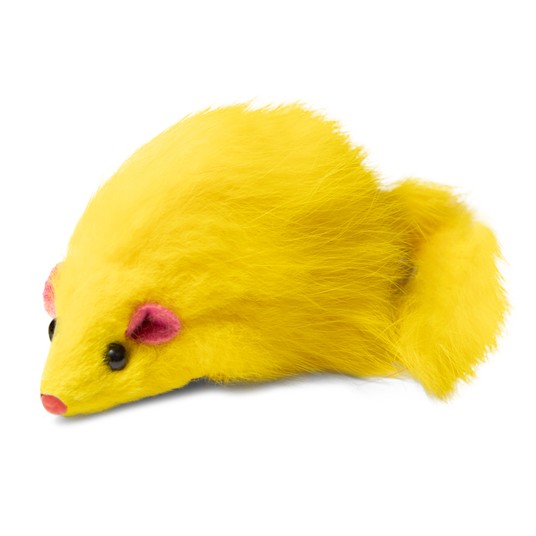 Изображение на странице