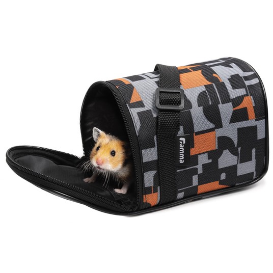 Изображение на странице