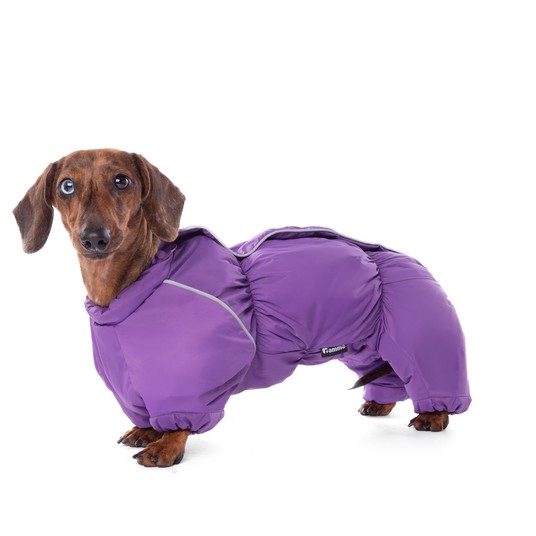 Изображение на странице