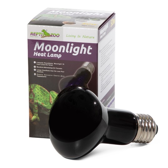 Изображение на странице