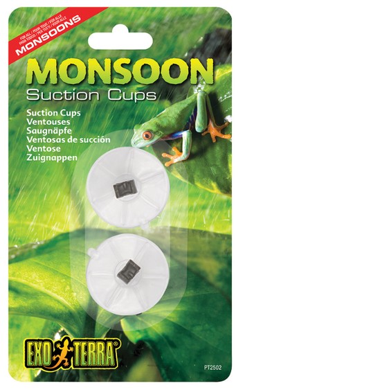 Изображение на странице