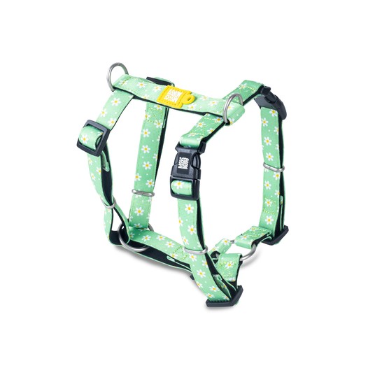 Н-образная шлейка, L, Ромашки