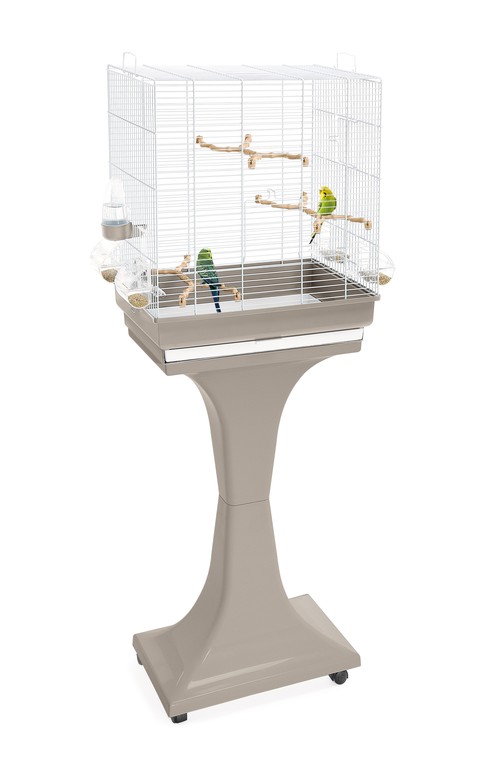 Изображение на странице