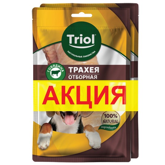 Изображение на странице