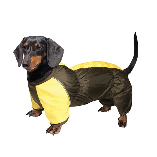 Изображение на странице