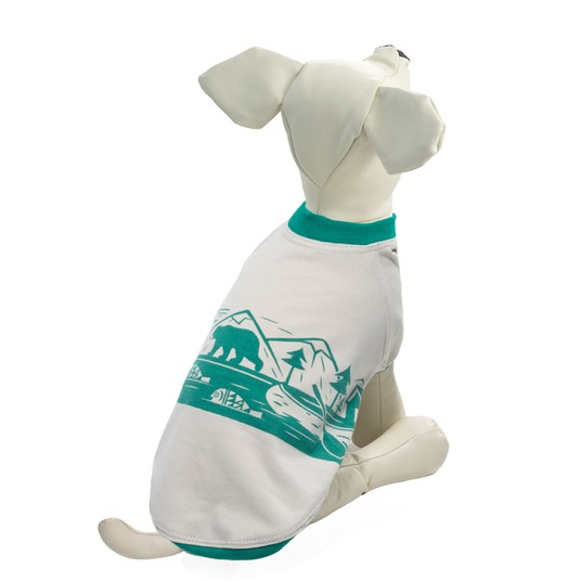 Изображение на странице