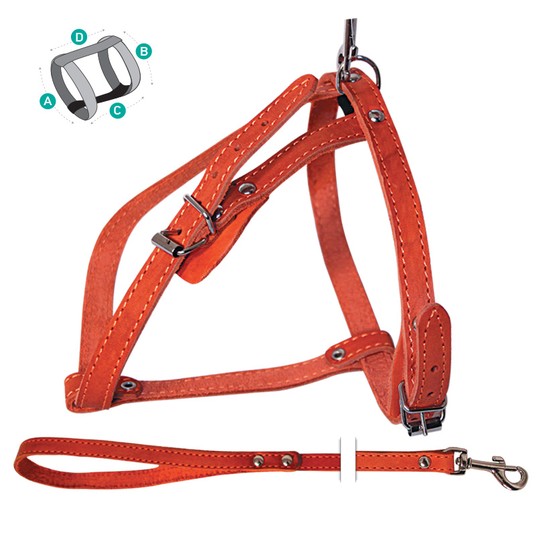 Изображение на странице