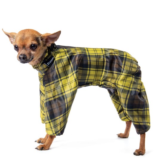 Изображение на странице