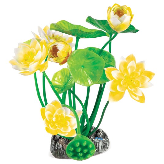 Изображение на странице