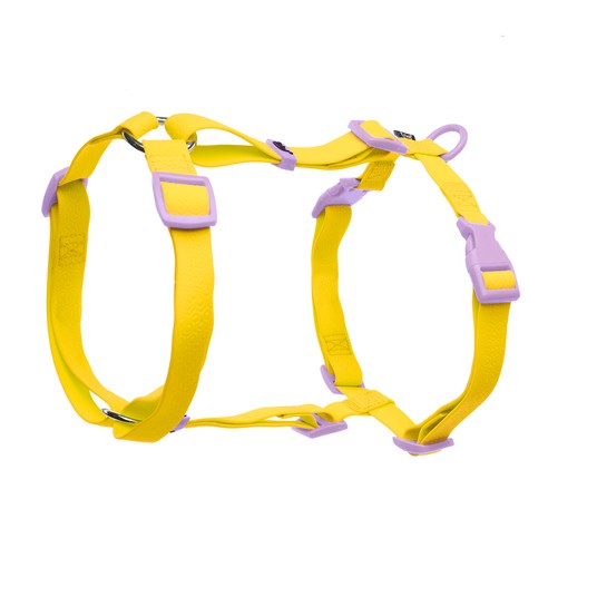 Изображение на странице