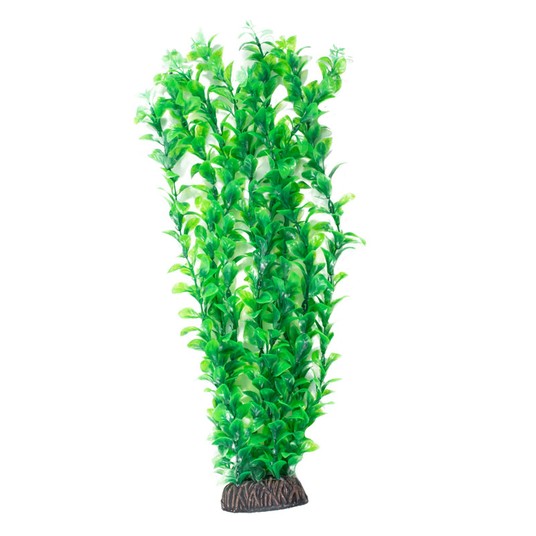 Изображение на странице