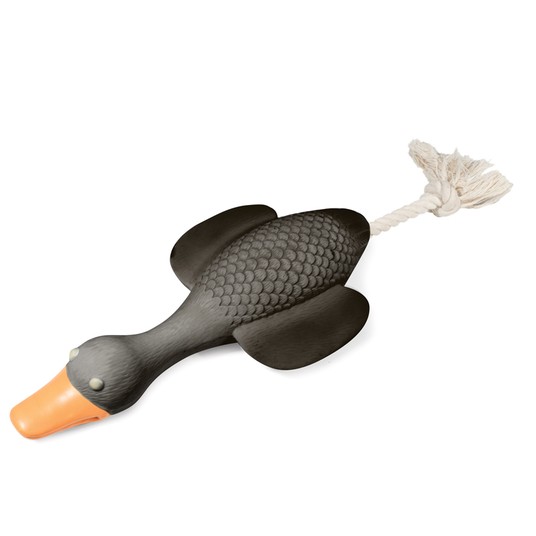 Изображение на странице