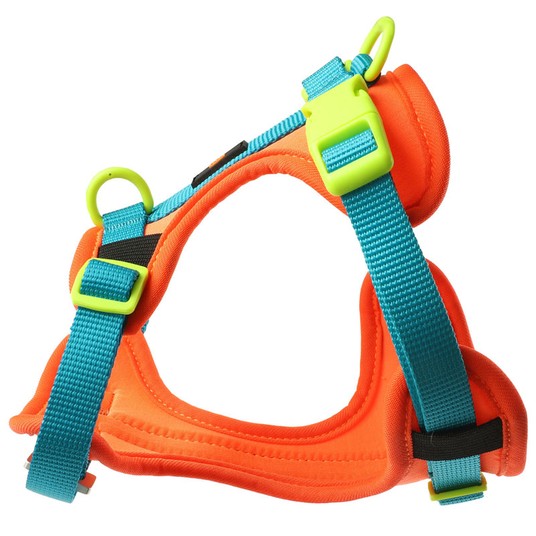 Изображение на странице