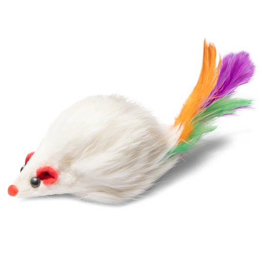 Изображение на странице