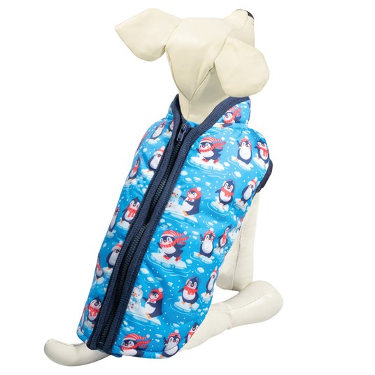 Изображение на странице