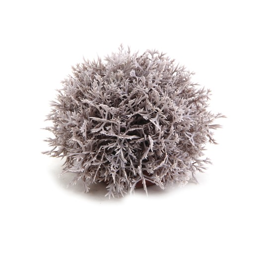 Изображение на странице