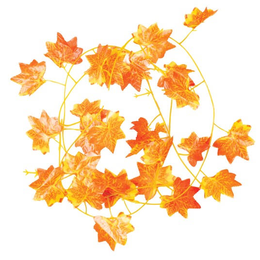 Изображение на странице