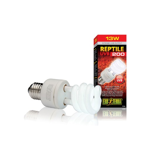 Изображение на странице