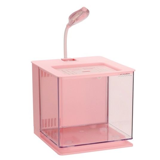 Изображение на странице