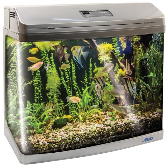 Изображение на странице