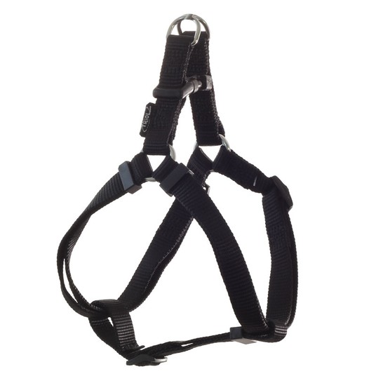 Изображение на странице