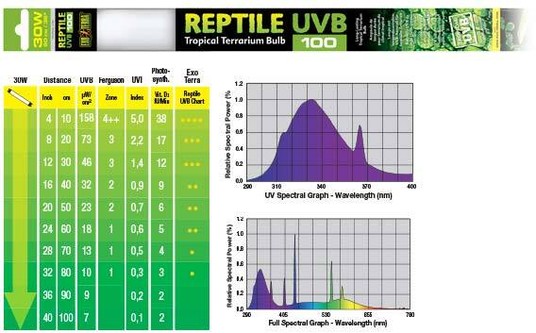 Изображение на странице