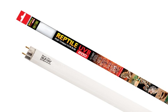 Изображение на странице