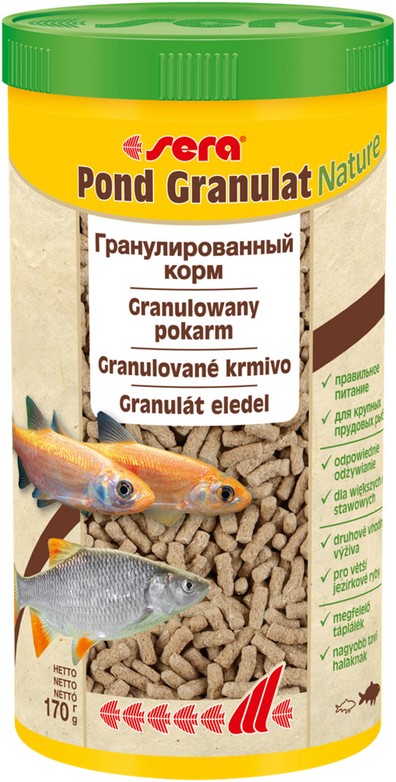 Изображение на странице