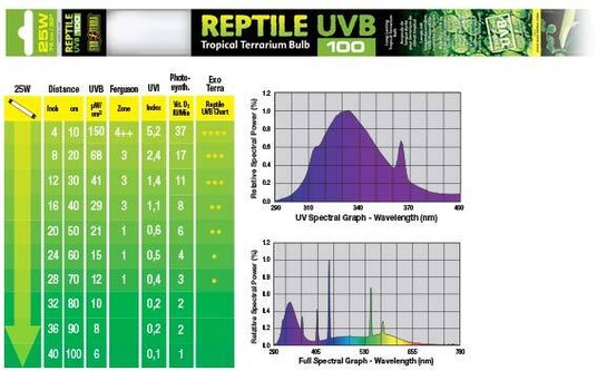 Изображение на странице